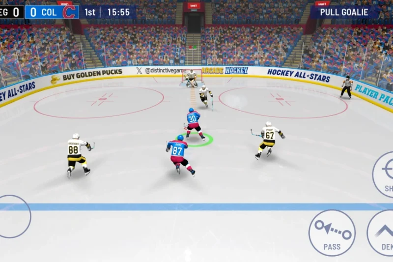 Hockey All Stars 24 - fast-paced Hockey action