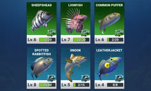 Fishing Travel – Relaxing and exploratory fishing game ⭐4.5